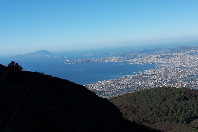Mount Vesuvius tour by bus and ticket included from Ercolano - What the $50.33 price really buys