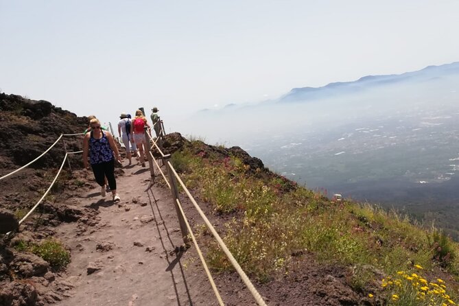Mount Vesuvius tour by bus and ticket included from Ercolano - This is not a guided volcano tour