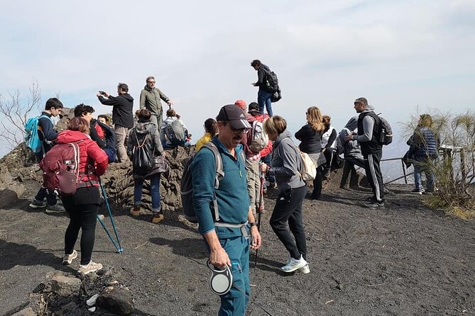 Mount Vesuvius tour by bus and ticket included from Ercolano - Weather can change the whole experience