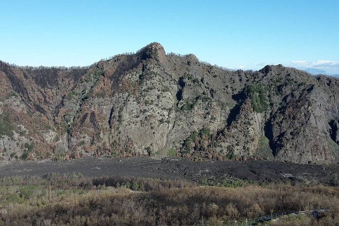 Mount Vesuvius tour by bus and ticket included from Ercolano - Who will enjoy this trip most