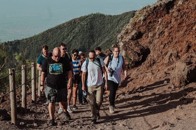 Mount Vesuvius Tour from Pompeii Led by an Expert Guide - What the ticket arrangement really covers