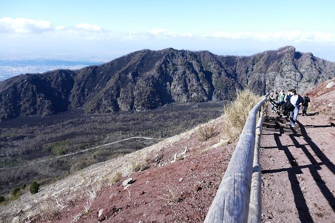 Mt Vesuvius Half-Day Trip from Naples - Who should book this Vesuvius trip?