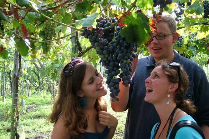 Mt. Vesuvius Wine Tasting and Lunch Experience from Pompeii - What the price includes at $102.25