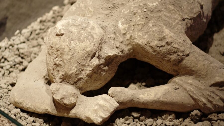 Naples: 7 Days Pass - Pompeii, Museums & Transport Included - Seven Days of Naples Transport