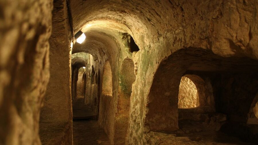 Naples: 7 Days Pass - Pompeii, Museums & Transport Included - Pompeii: The Big Day Trip
