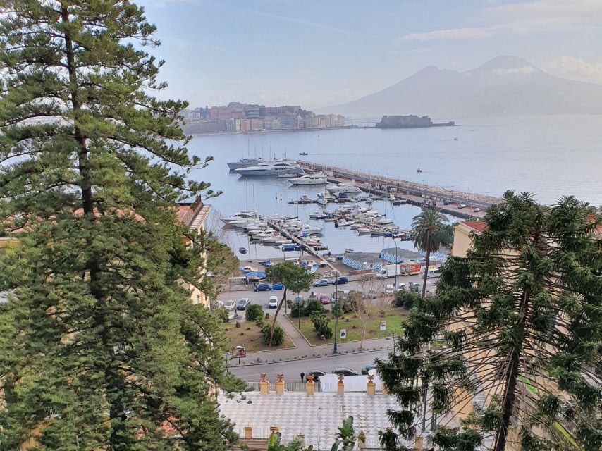 Naples: Naples, Pompeii, and Vesuvius Full-Day Tour - Pizza lunch, with limited choices