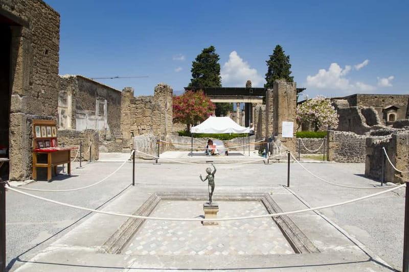 Naples or Sorrento: Full-Day Pompeii and Mount Vesuvius Tour - Why combining Pompeii and Vesuvius works