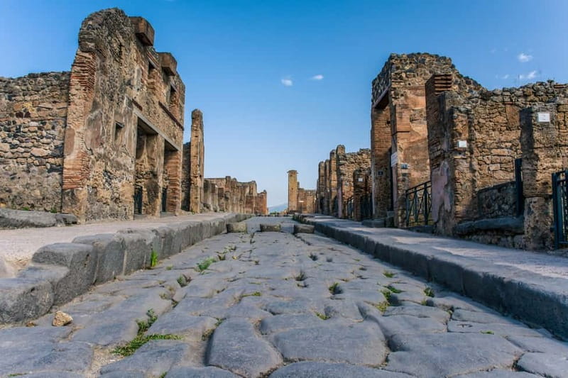 Naples or Sorrento: Full-Day Pompeii and Mount Vesuvius Tour - Who will enjoy this day most
