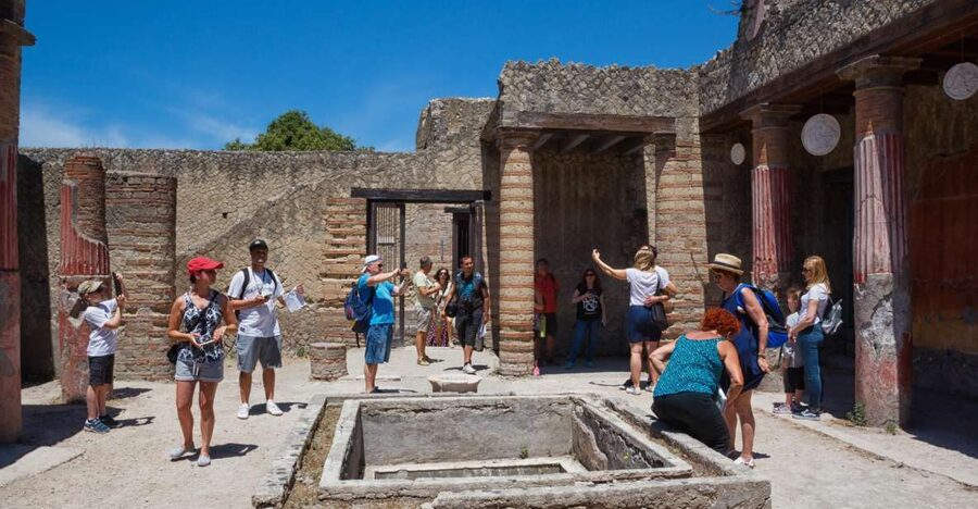 Naples: Pompeii and Herculaneum Private Walking Tour - Who should book this tour?