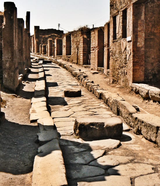 Naples: Pompeii and Herculaneum Private Walking Tour - Should you book it?