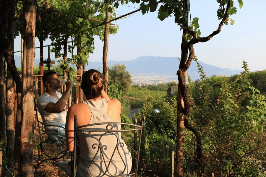 Naples: Pompeii and Herculaneum Tour with Tickets and Lunch - Starting from Naples by minivan
