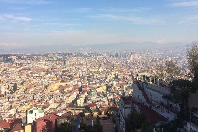Naples, Pompeii and Vesuvius full day tour from Naples - The Vesuvius climb is the real test