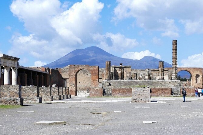 Naples, Pompeii and Vesuvius full day tour from Naples - Transport and pickup from Naples