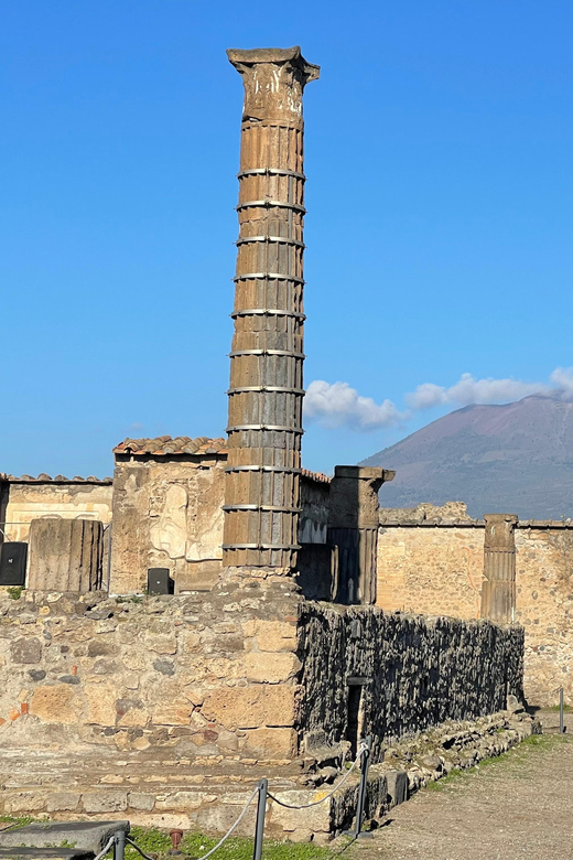 Naples: Pompeii Archaeology Park Tour & Skip-the-Line Entry - Is $63 a fair price?
