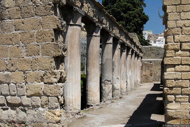 Naples: Pompeii, Herculaneum, and Vesuvius Tour by Minivan - Why the Mercedes minivan makes a difference