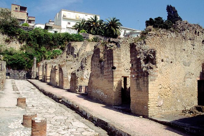 Naples: Pompeii, Herculaneum, and Vesuvius Tour by Minivan - Herculaneum: smaller, more compact, and intensely preserved