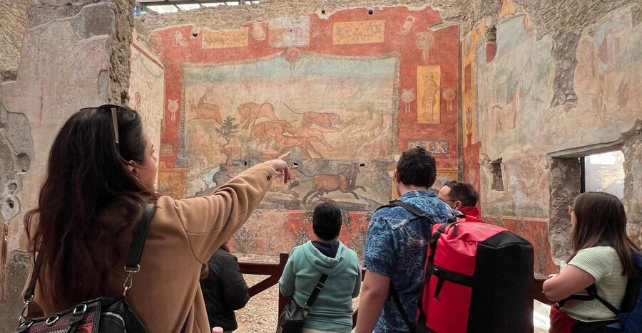 Naples: Pompeii & Mt. Vesuvius Day Trip with Tickets & Lunch - Key points to know before booking