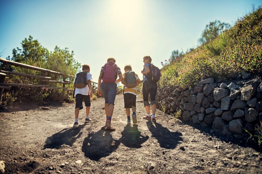 Naples: Pompeii & Mt. Vesuvius Day Trip with Tickets & Lunch - Guides, drivers, and the day’s rhythm
