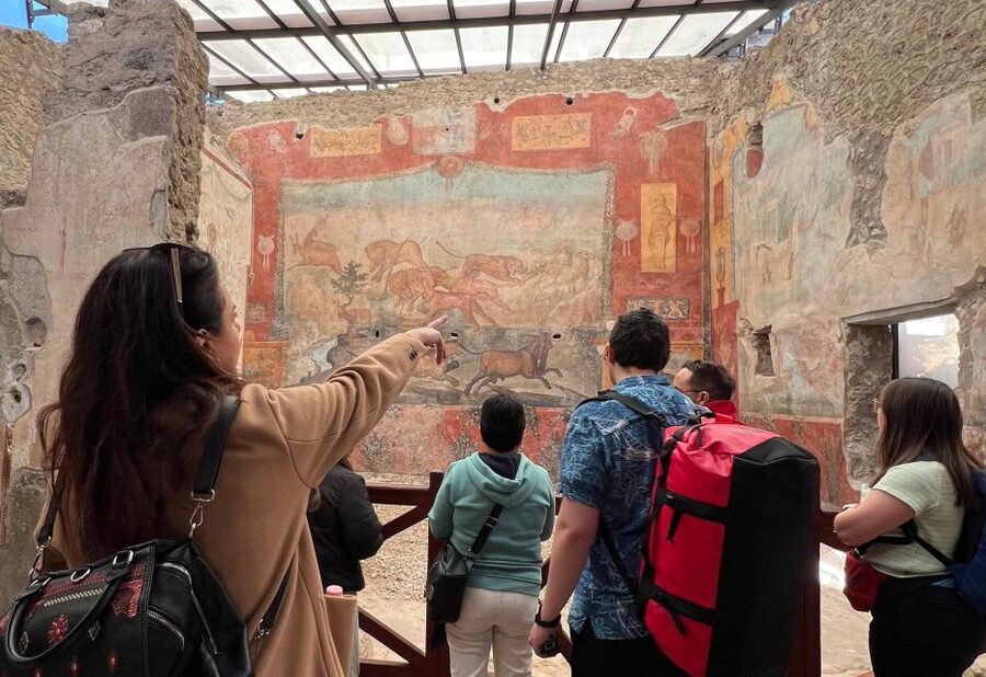 Naples: Pompeii & Mt. Vesuvius Day Trip with Tickets & Lunch - Meeting the minibus in Naples