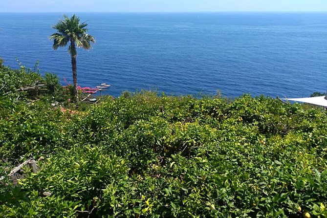 Naples port tour Sorrento and pompeii and overview of positano - A private vehicle makes the schedule easier