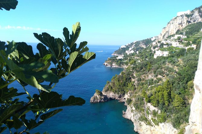 Naples port tour Sorrento and pompeii and overview of positano - What the $708.90 group price really means