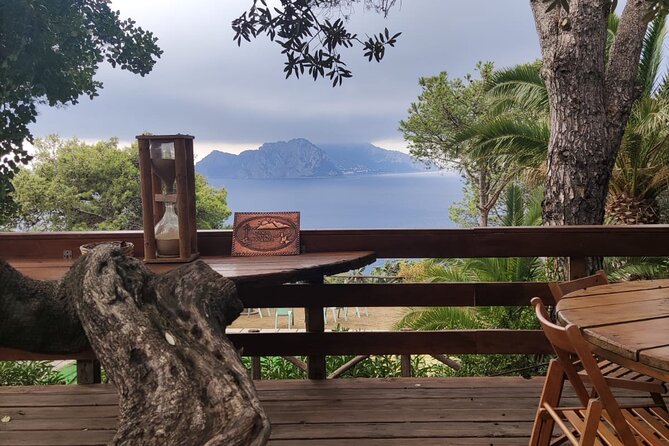 Naples port tour Sorrento and pompeii and overview of positano - Who will enjoy this tour most