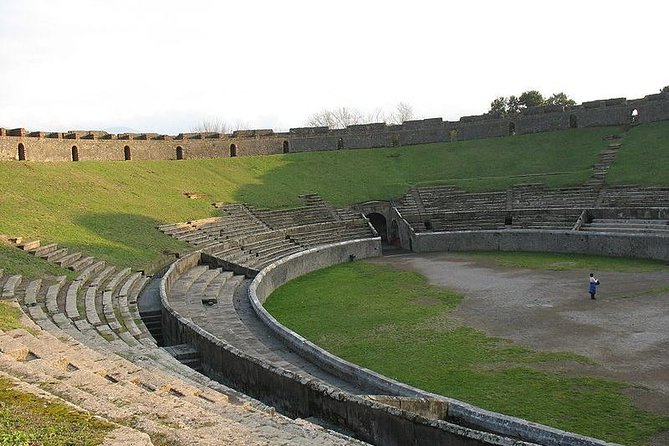 Naples Shore Excursion Mt Vesuvius and Pompeii Day Trip - Group size and the cost of convenience