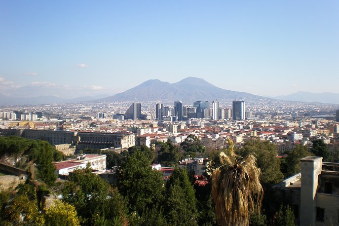Naples Shore Excursion: Mt Vesuvius Half-Day Trip from Naples - What you are really paying for at $76.63