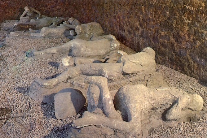Naples Shore Excursion: Naples City and Pompeii Half Day Sightseeing Tour - Meeting your driver at Naples port