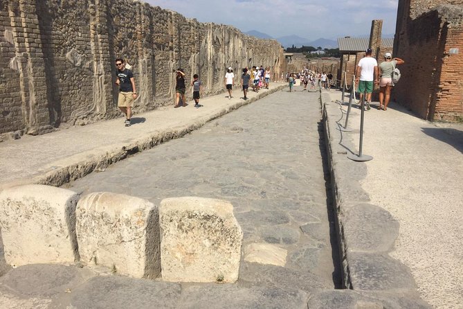 Naples Shore Excursion: Pompeii and Sorrento Day Trip - Why the port guarantee matters