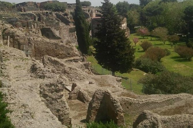 Naples Shore Excursion: Pompeii Half Day Trip from Naples - The Forum, baths, and Lupanare