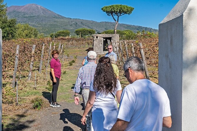 Naples: Tour of Mt Vesuvius and Pompeii w/ Lunch & Wine tasting - Walking Mount Vesuvius
