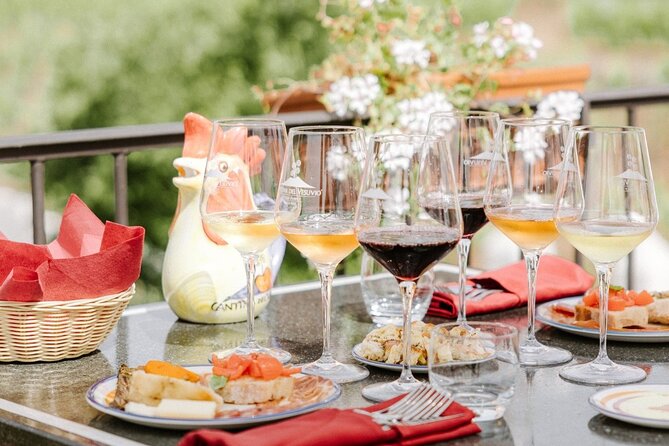 Naples: Tour of Mt Vesuvius and Pompeii w/ Lunch & Wine tasting - Who should book this tour?