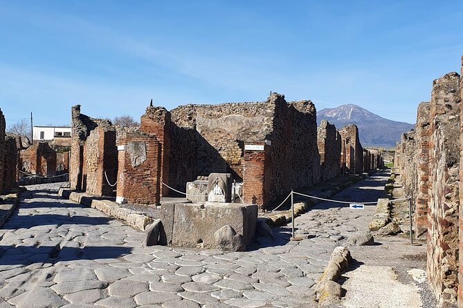 Naples: Tour of Mt Vesuvius and Pompeii w/ Lunch & Wine tasting - Pompeii in two hours: a powerful but brisk visit