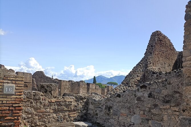 Naples transfer to Pompeii guided tour and Back - What You See Inside Pompeii