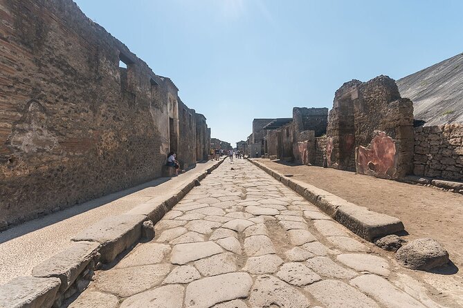 Naples transfer to Pompeii guided tour and Back - Price, Group Size, and What You Actually Receive
