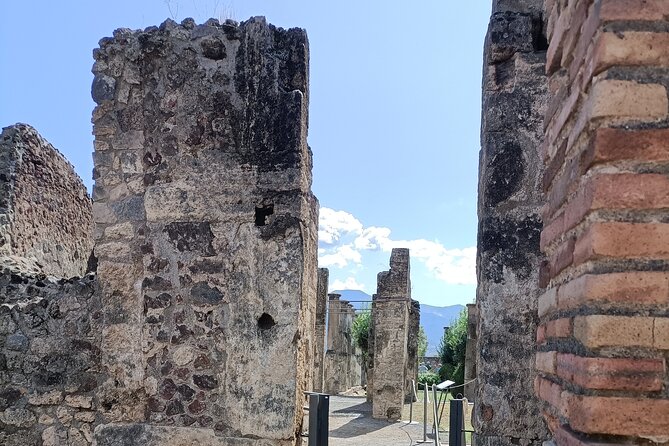 Naples transfer to Pompeii guided tour and Back - Practical Details Before You Go
