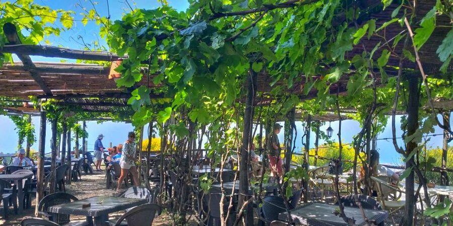 Naples: Vesuvius Half-Day Trip with Lunch and Wine Tasting - Who should book this Vesuvius trip?