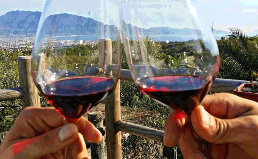 Naples: Vesuvius Half-Day Trip with Lunch and Wine Tasting - Should you book it?