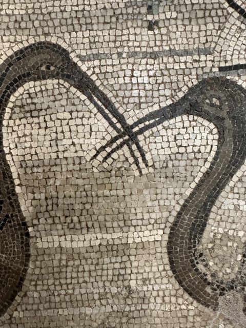 National Archaeological Museum of Naples Private Guided Tour - Pompeii and Herculaneum through their surviving objects