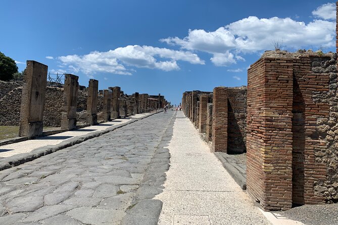 Once upon a time Pompeii 2 and a half hour tour - The archaeological park in about two hours