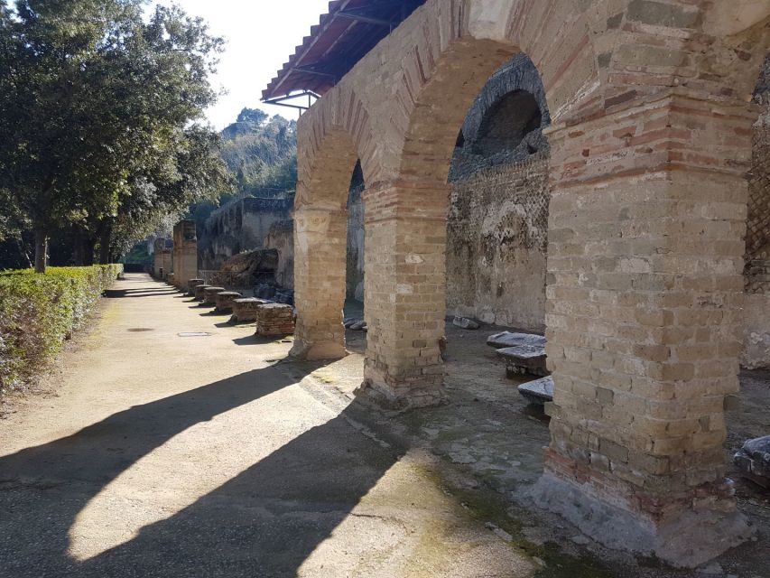Phlegraean Fields: Cuma Baia and Pozzuoli private excursion - Key points at a glance