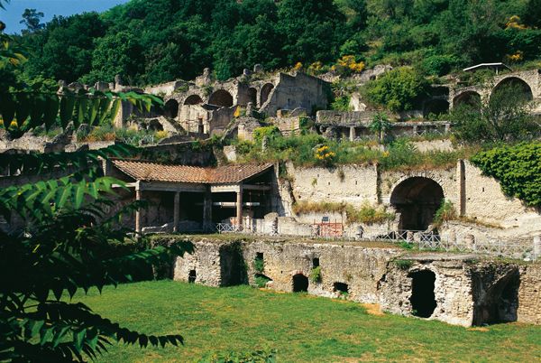Phlegraean Fields: Cuma Baia and Pozzuoli private excursion - Pozzuoli and the Macellum of Serapis