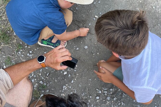 Pompei Adventure: A Tailored Tour for Families with Kids! - Starting at Pompeii’s Amphitheater