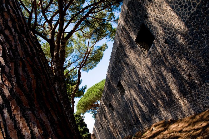 POMPEI Half Day TOUR - Departure from NAPLES Centre (TICKET INCLUDED) - The Lupanare and Pompeii’s private life