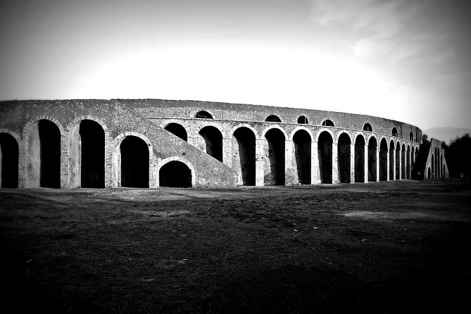 POMPEI Half Day TOUR - Departure from NAPLES Centre (TICKET INCLUDED) - Casa dei Vettii and the city’s wealth