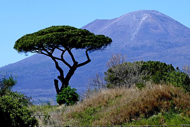 POMPEI Half Day TOUR - Departure from NAPLES Centre (TICKET INCLUDED) - The casts, eruption, and human cost
