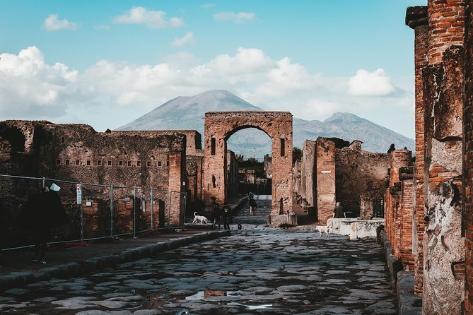 Pompeii: 2 Hour Private Tour with an Archeologist Guide - Pompeii beyond the eruption