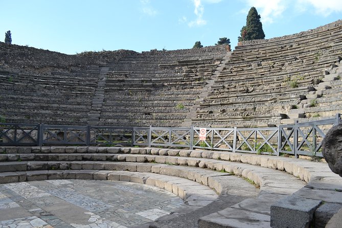 Pompeii 3 Hours Walking Tour Led by an Archaeologist - House of the Faun: a grand private residence