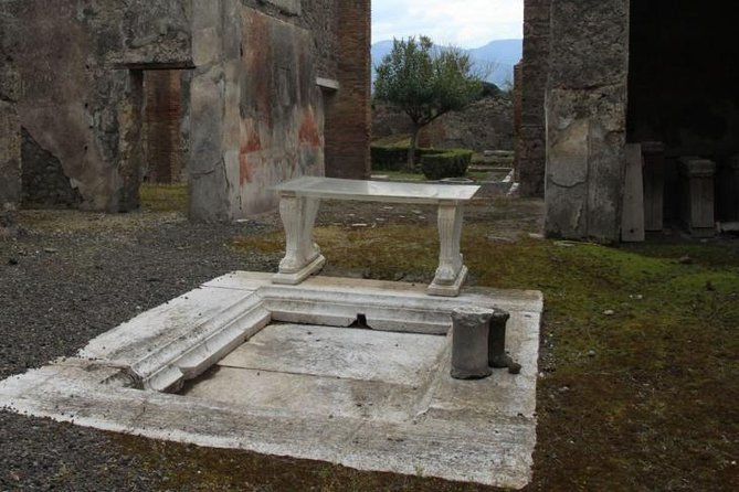 Pompeii and Amalfi Coast Port Tour (Driver Only/Self Touring) - Pompeii first, with two hours among the ruins